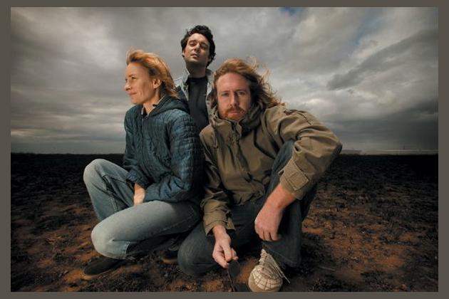 Spiderbait